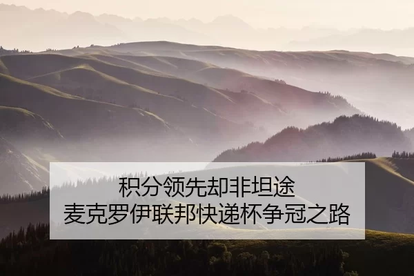 ji-fen-ling-xian-que-fei-tan-tu-mai-ke-luo-yi-lian-bang-kuai-di-bei-zheng-guan-zhi-lu-3-578.jpg