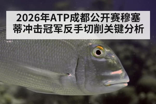 2026年ATP成都公开赛穆塞蒂冲击冠军反手切削关键分析